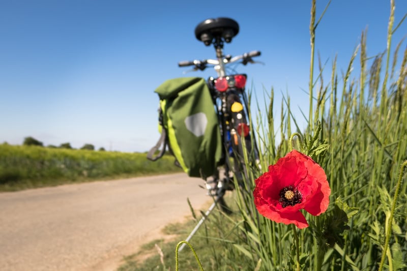 Biking Tours